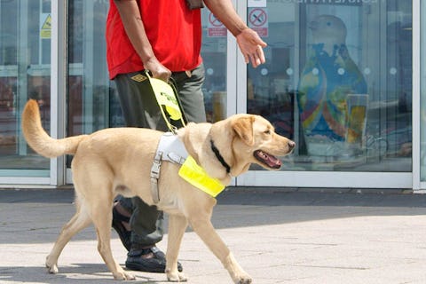Blind couple refused entry to two London restaurants because of their guide dogs