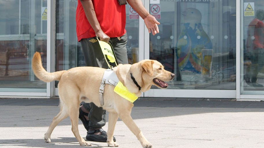 Blind couple refused entry to two London restaurants because of their guide dogs