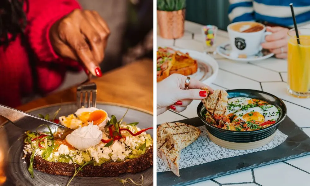poached eggs on toast and shakshuka
