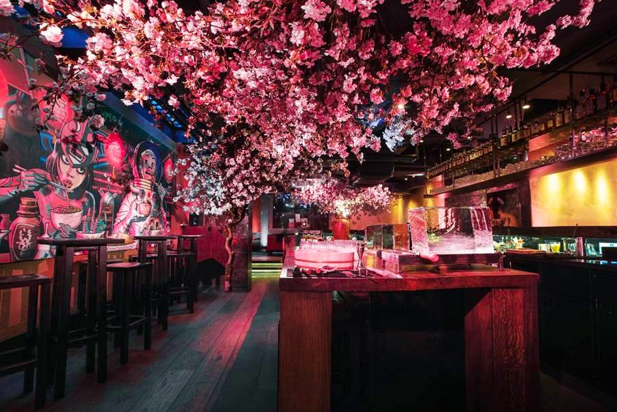 Roka cherry blossom canopy charlotte street