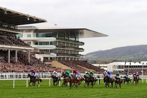 Cheltenham Racecourse unveils new VIP food and drink offering