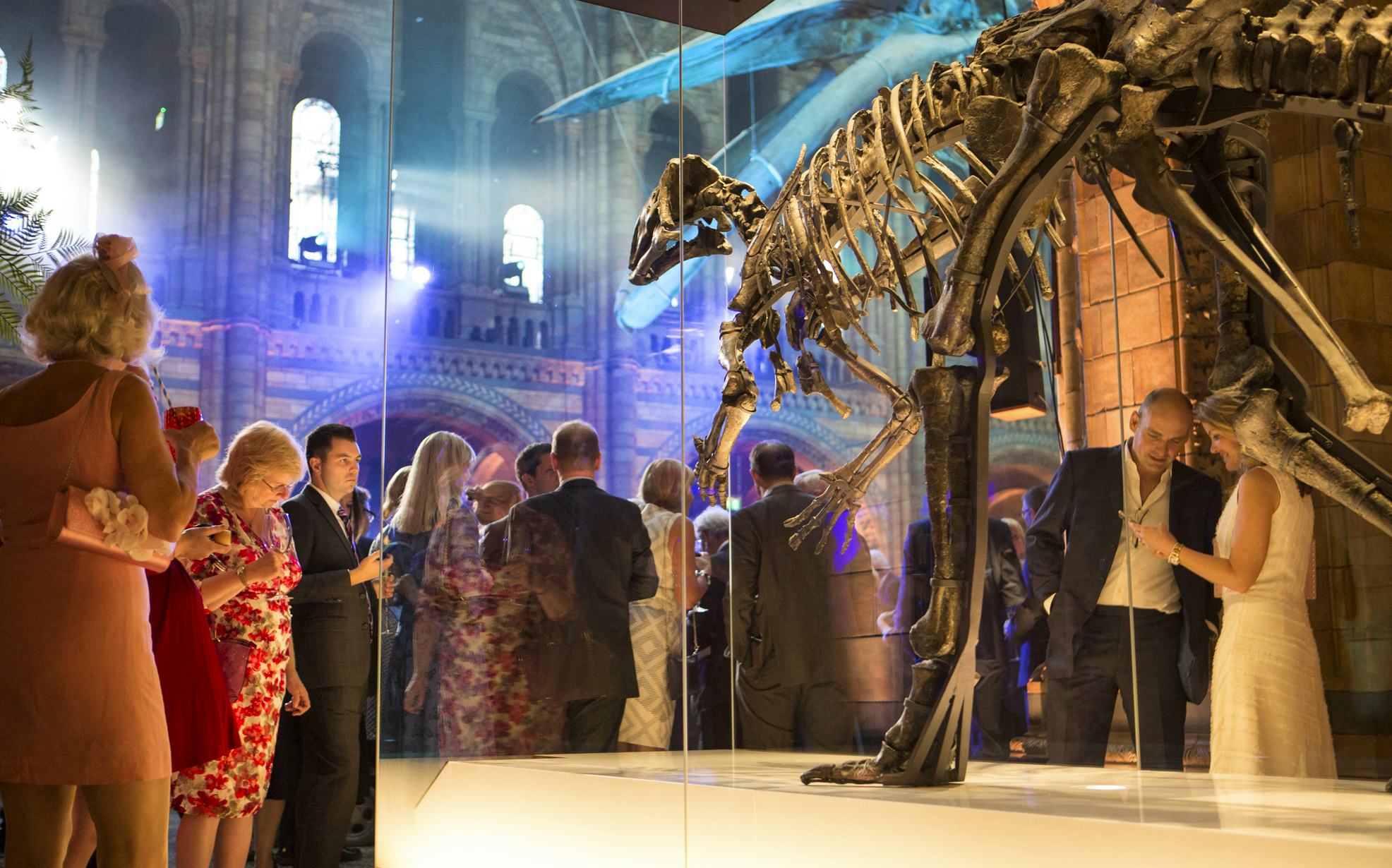 SquareMeal V+E newsletter 20 July 2017 - Natural History Museum transforms Hintz Hall