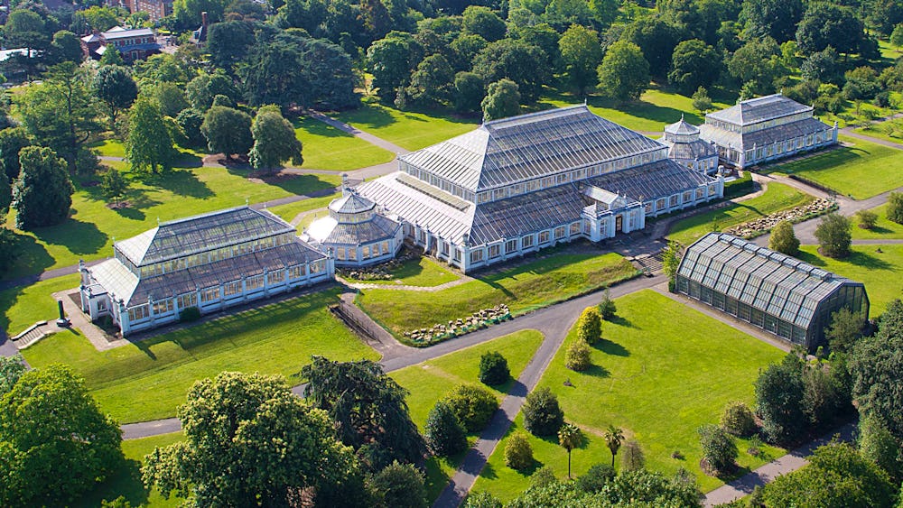 Kew Gardens to reopen Temperate House after five-year refurb