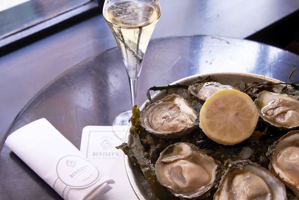 Keen on a free oysters and champagne masterclass? Come this way