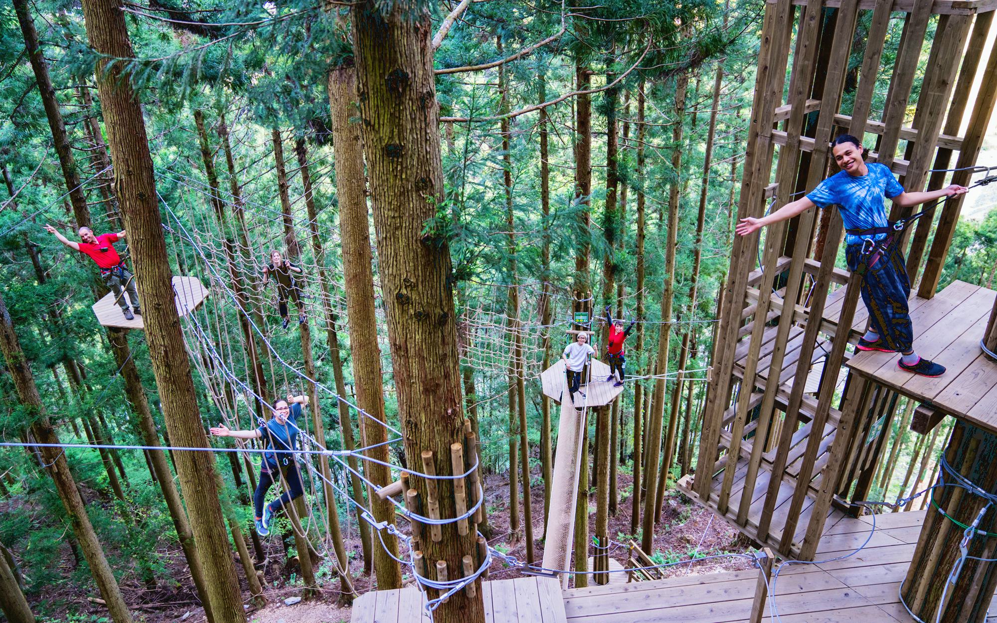 Teambuilding activities that work best for corporate groups high ropes