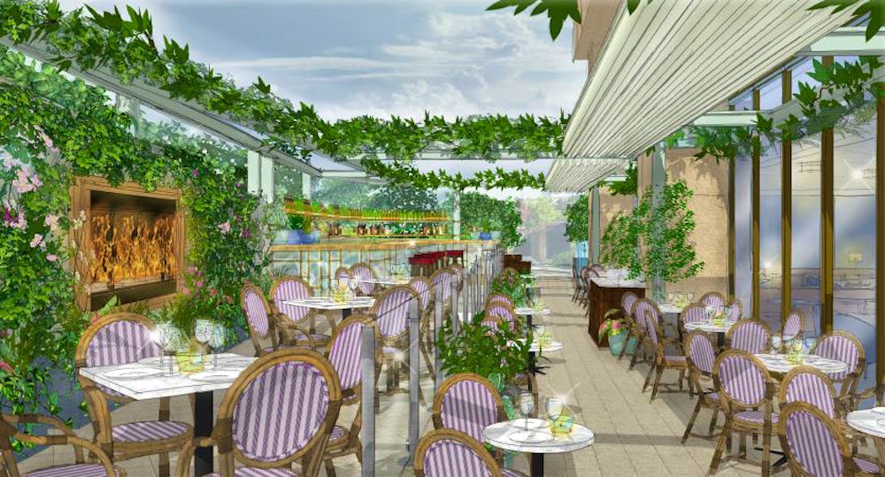 Bookings open for The Ivy City Garden