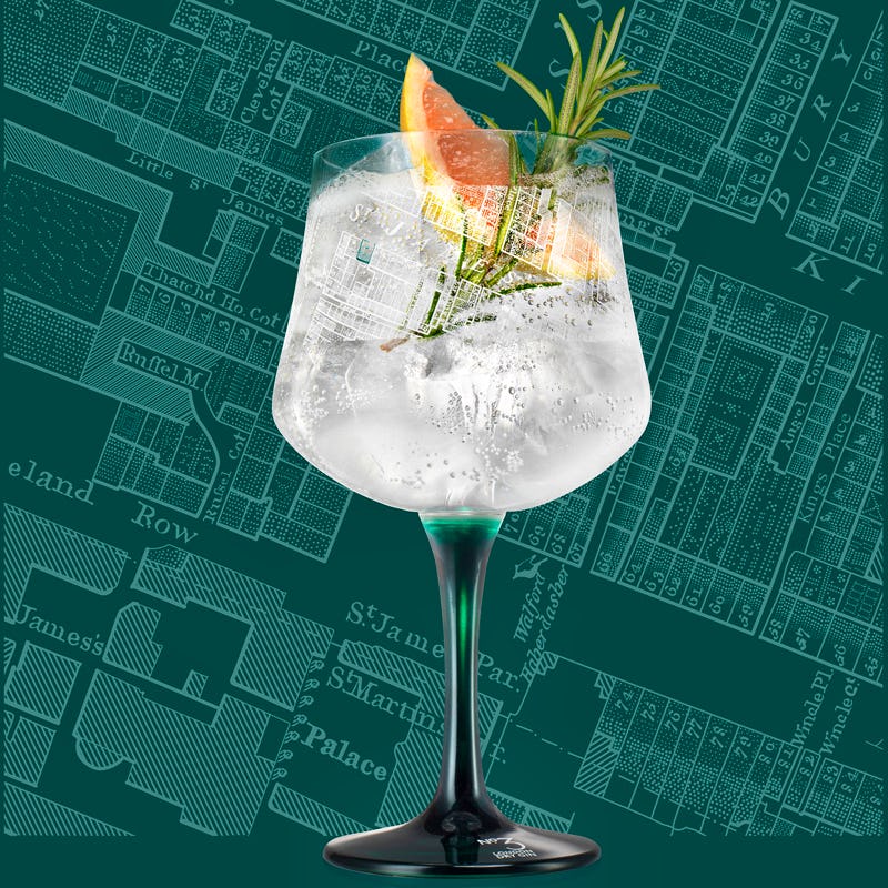 gin and tonic in large glass with fruit