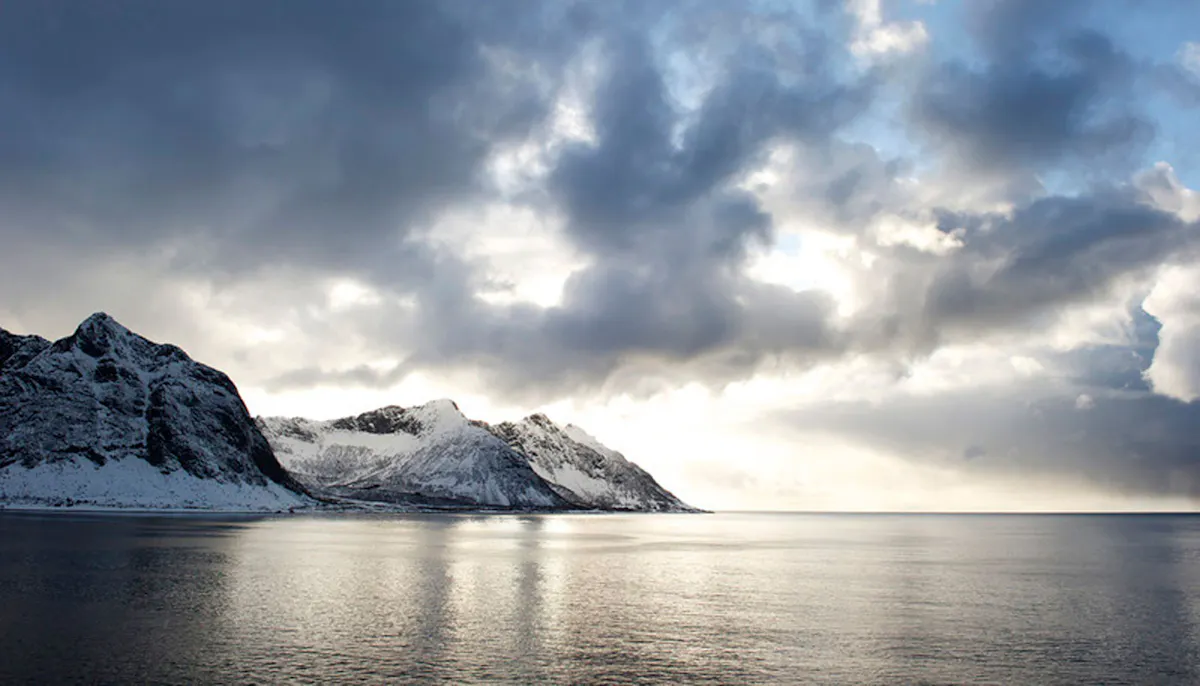 Why London’s best restaurants are using Norwegian fish 