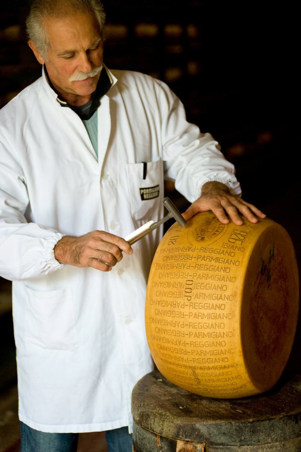 Parmigiano Reggiano cheese maker with cheese