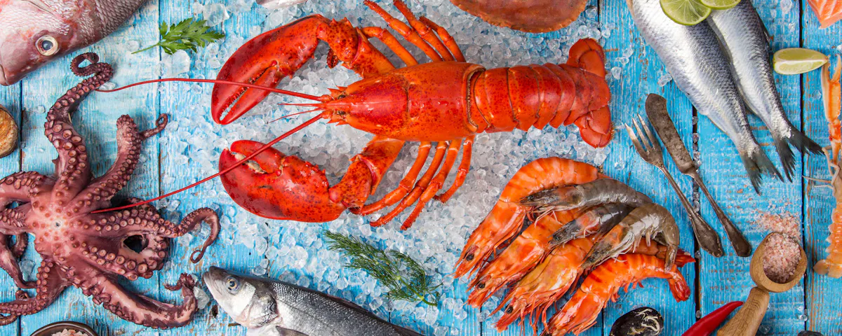 Saké: your new favourite partner for fish and chips