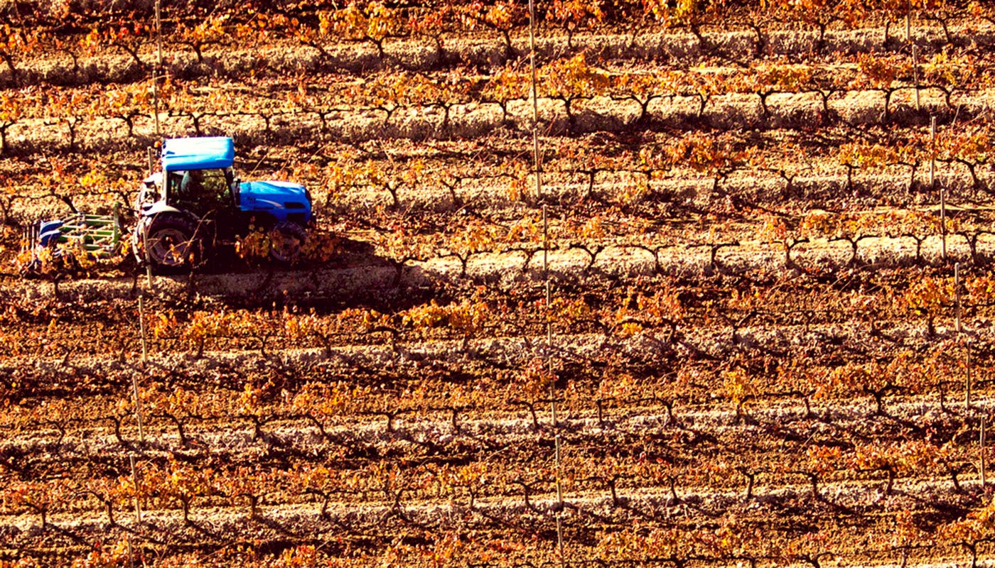 Tractor in a vineyard