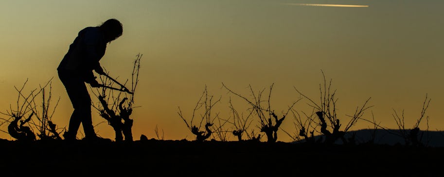 Rethinking Rioja