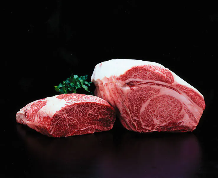 Wagyu hidagyu Japanese beef London restaurants