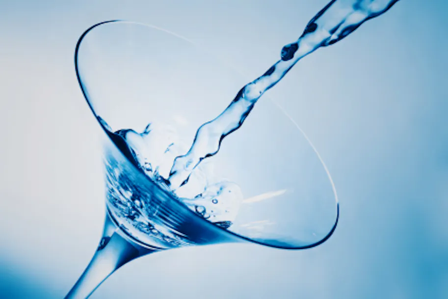 Shaken and stirred: the year of the Martini
