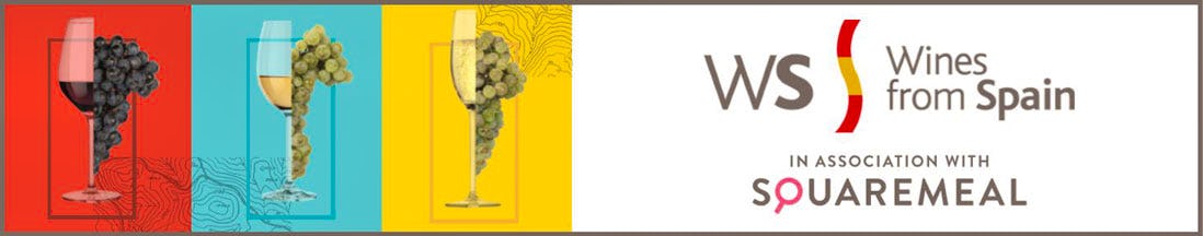 Wines of spain banner