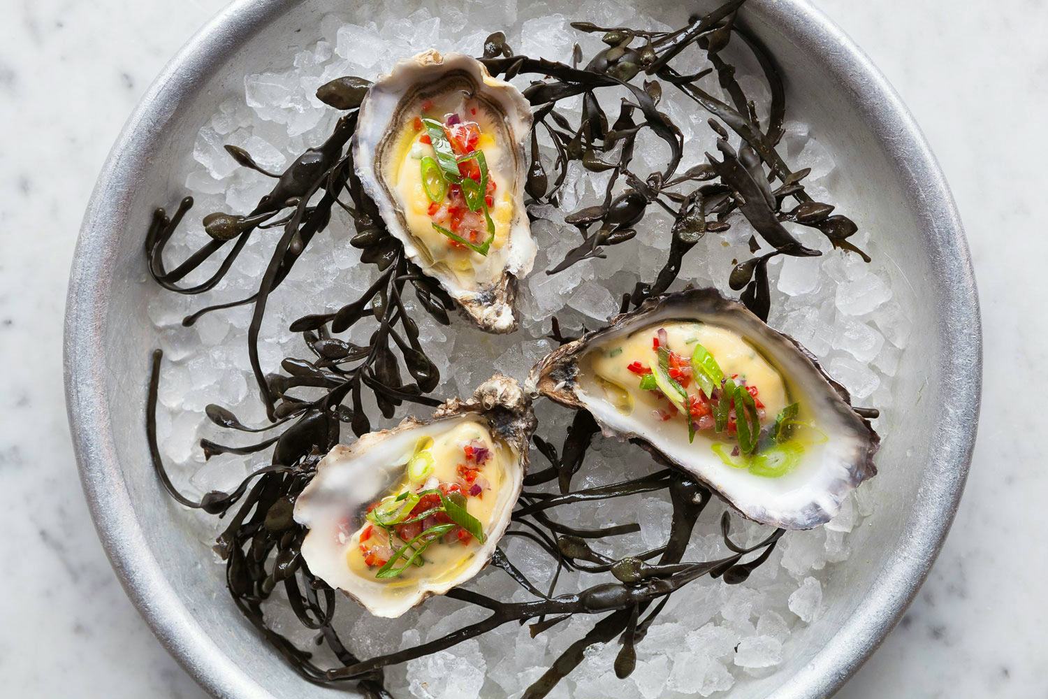 Wright Brothers oysters on seaweed plate