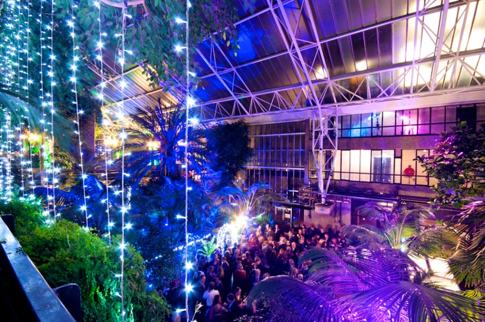 Welcome to the jungle (at Barbican) this Christmas