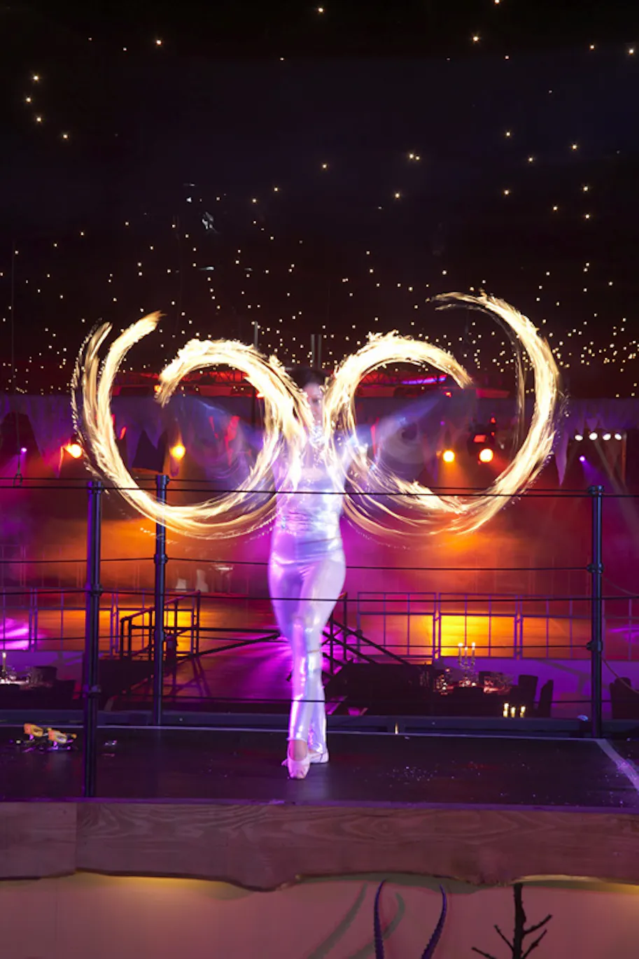 Christmas at Battersea Evolution