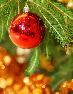Need Help this Christmas?