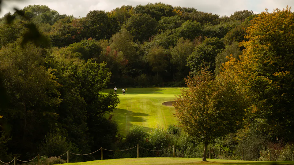 Dale Hill Hotel and Golf Club