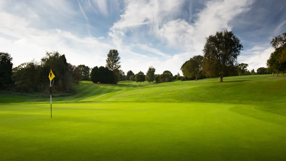 Dale Hill Hotel and Golf Club