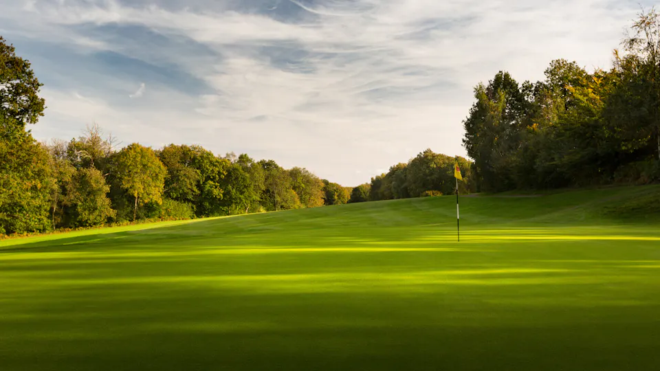 Dale Hill Hotel and Golf Club