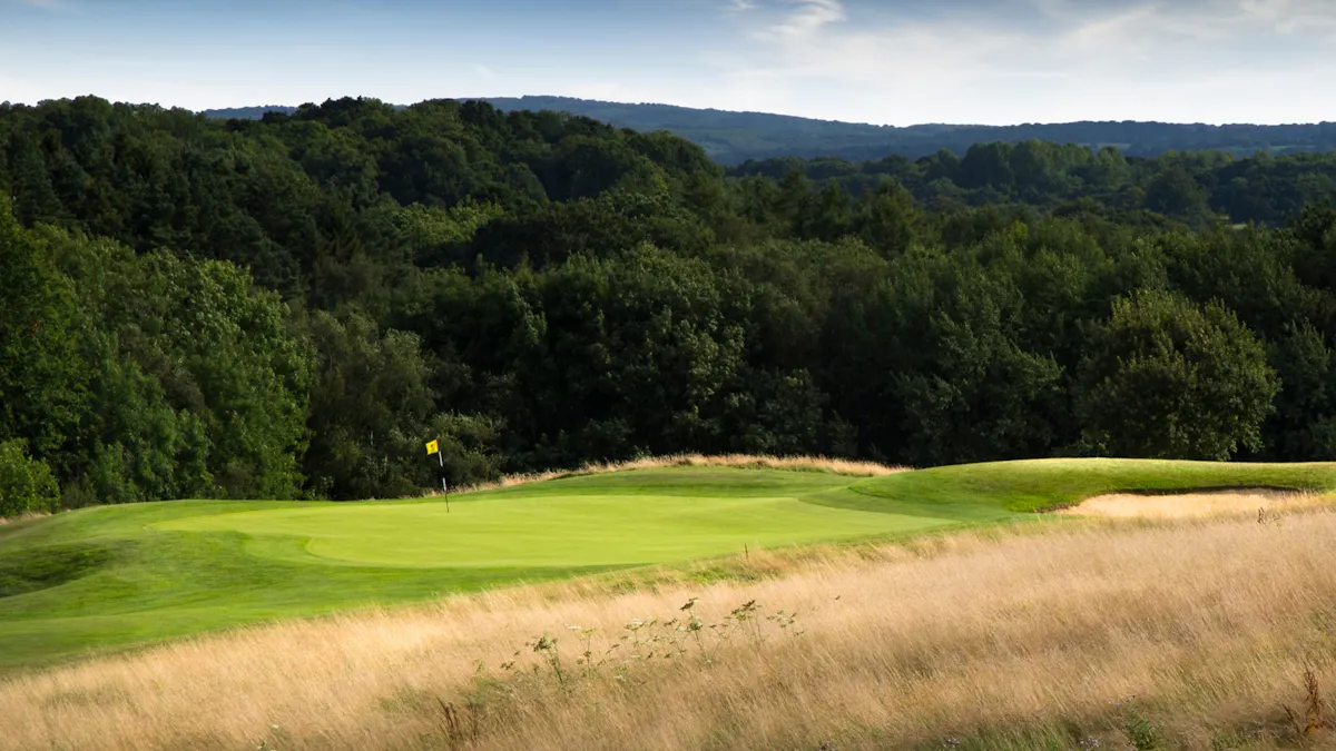Dale Hill Hotel and Golf Club