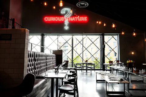 Curious Taproom