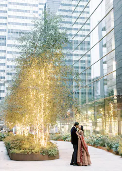 The Garden