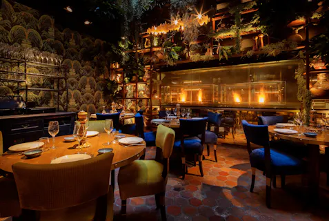Coya Mayfair