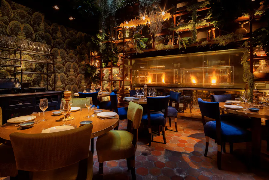 Coya Mayfair
