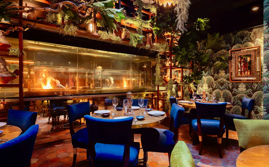Coya Mayfair