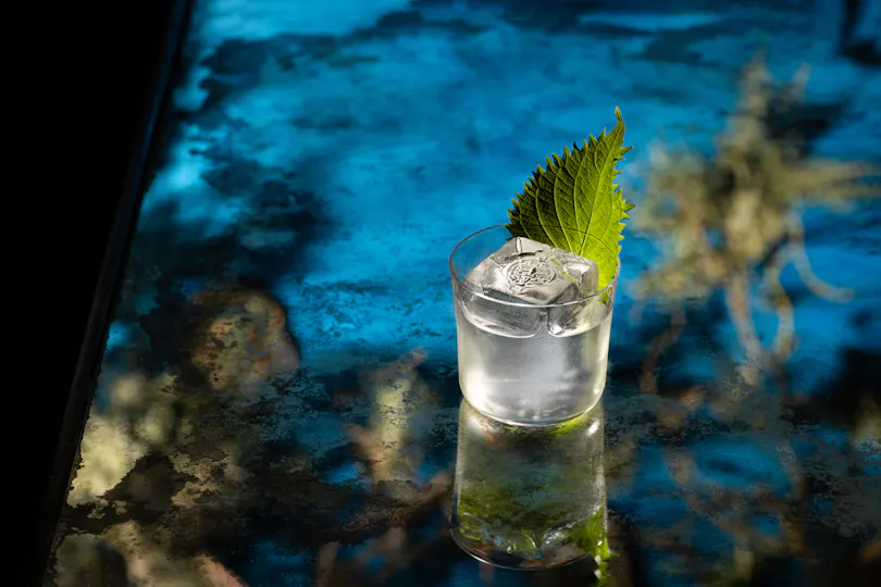 Coya Mayfair