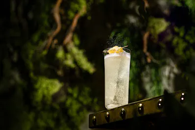 Coya Mayfair