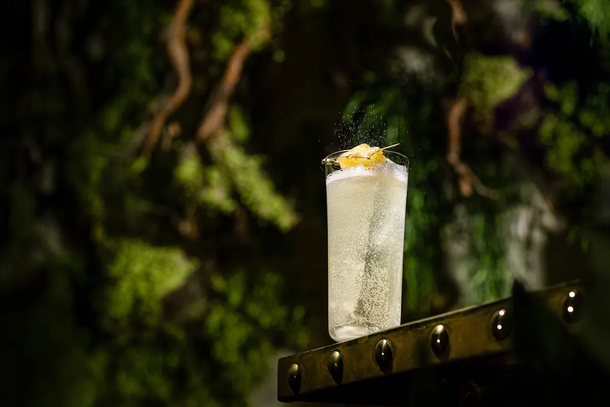 Coya Mayfair