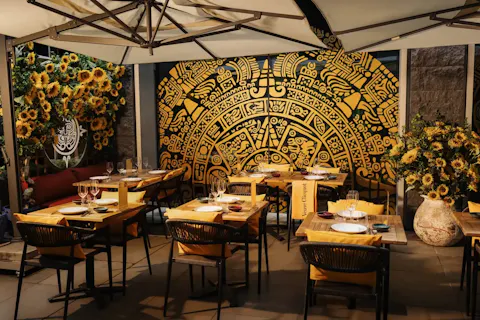 Coya City