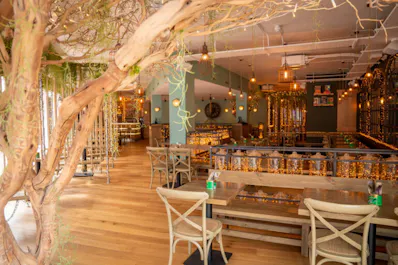 Mowgli Brighton
