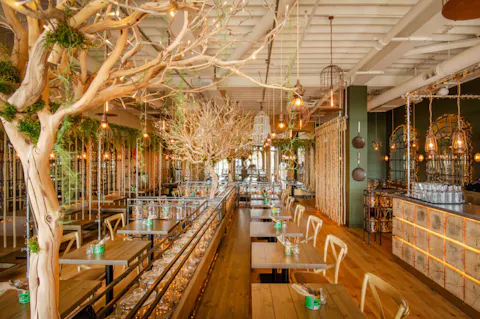 Mowgli Brighton