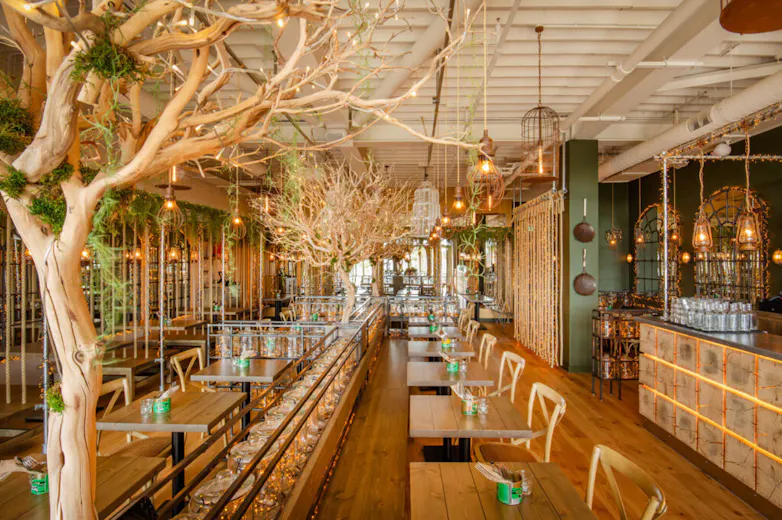 Mowgli Brighton