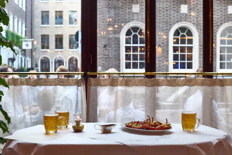 The Albatross
