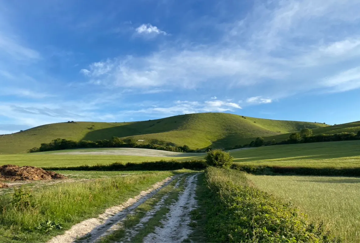 Firle Place