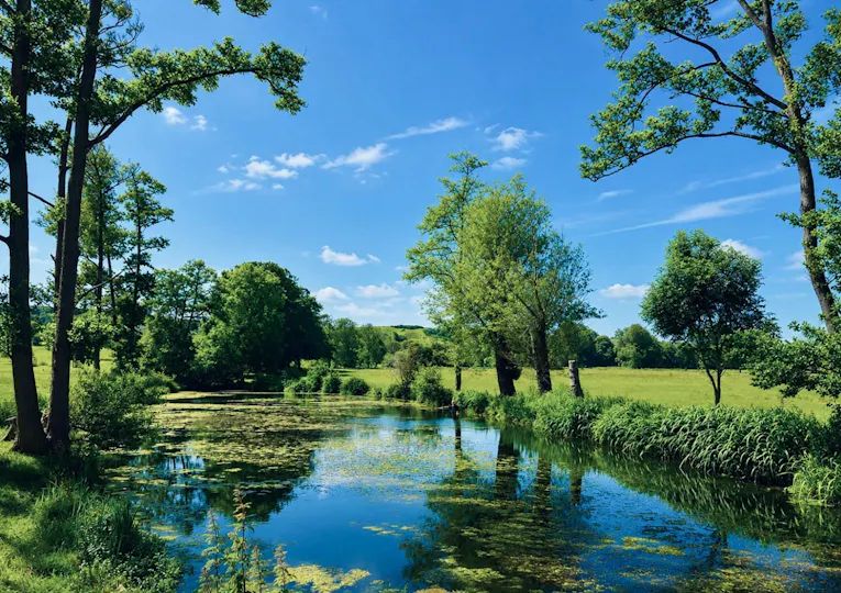 Firle Place