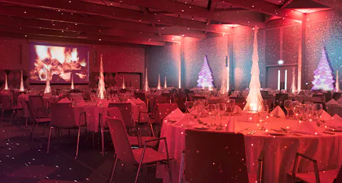Christmas at Warwick Conferences