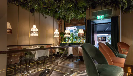 Christmas at Zuaya
