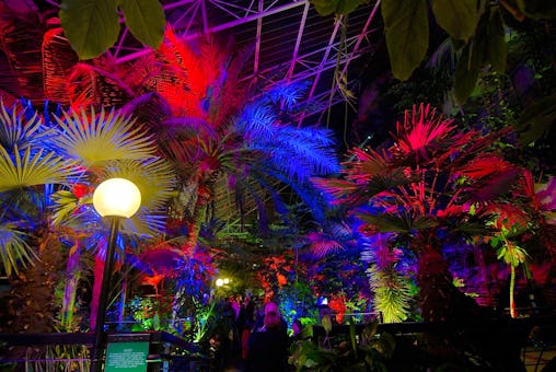 The Conservatory & Garden Room at The Barbican