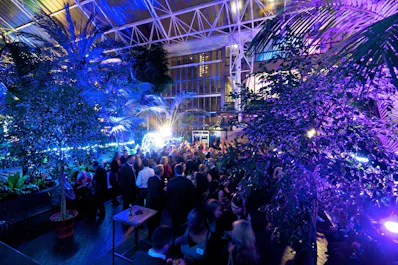 Christmas in the Conservatory & Garden Room
