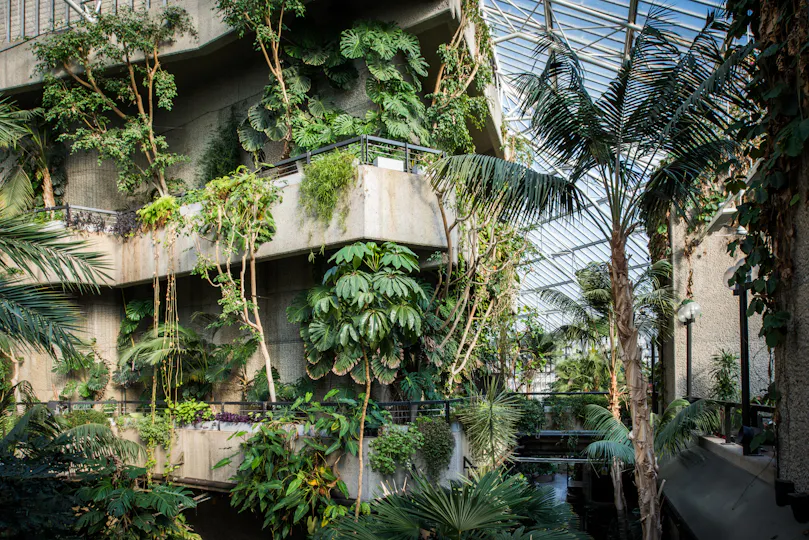 The Conservatory & Garden Room at The Barbican