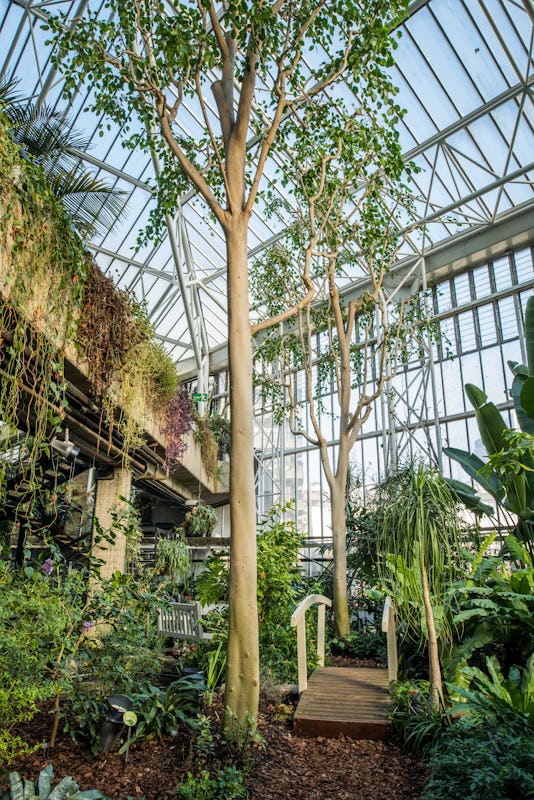 The Conservatory & Garden Room at The Barbican