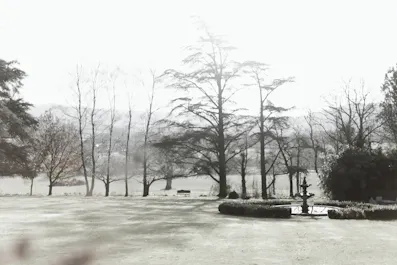 Christmas at Deer Park 