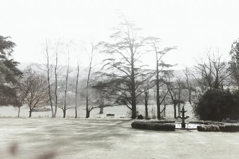 Christmas at Deer Park 